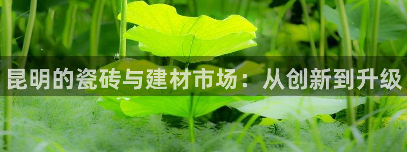 杏鑫注册登录网址是什么