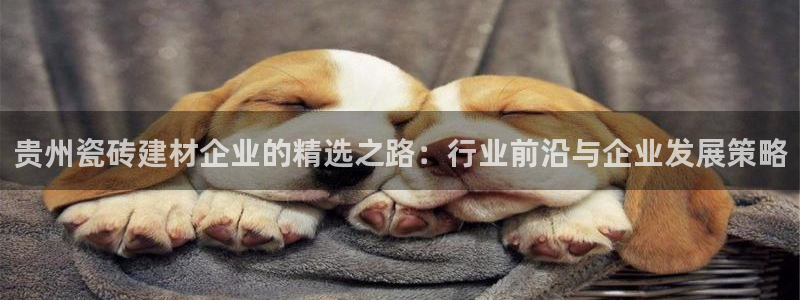 杏鑫注册登录网址是多少