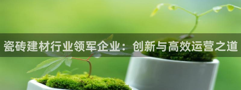 杏鑫平台登录地址查询