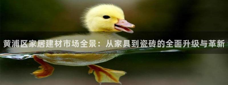 杏鑫平台注册登录