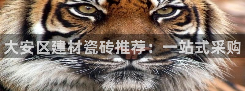 杏鑫平台代理注册多少钱一年