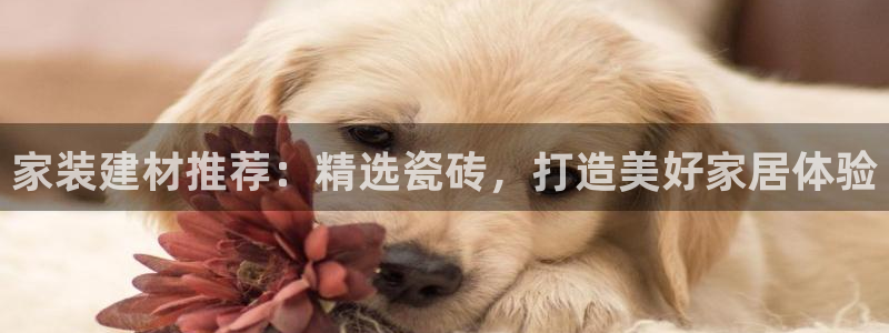 杏鑫官网注册账号密码忘了