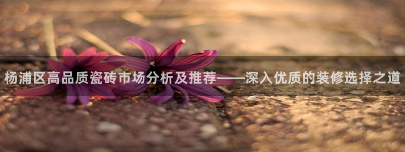 杏鑫平台招商电话是多少