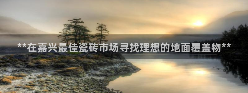 杏鑫平台代理注册多少钱一个