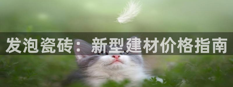 杏鑫官网注册账号是什么意思