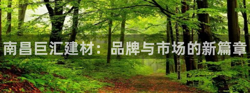 杏鑫平台在线注册流程