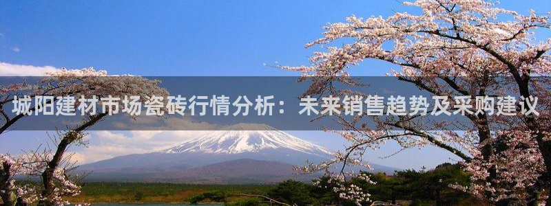 杏鑫平台代理注册流程图