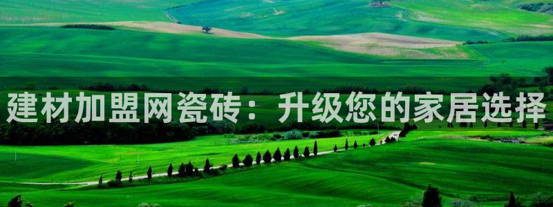 杏鑫手机客户端