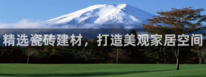 杏鑫平台代理注册流程