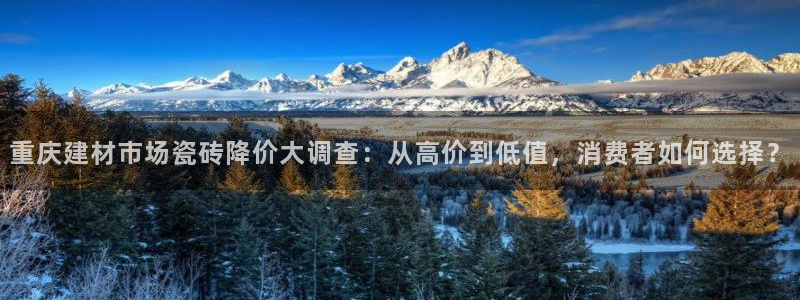 杏鑫平台在线注册