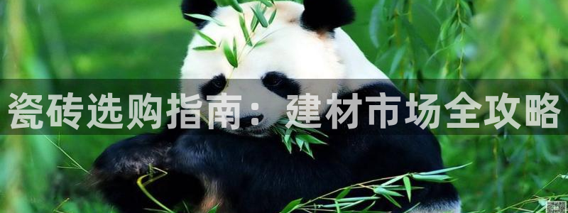 杏鑫平台在线注册流程