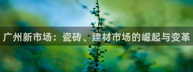 杏鑫平台注册入口在哪里找