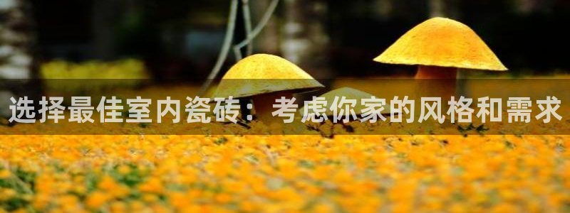 杏鑫官方平台怎么样啊可靠吗