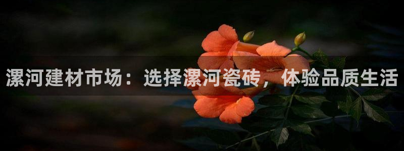 杏鑫平台平台娱乐