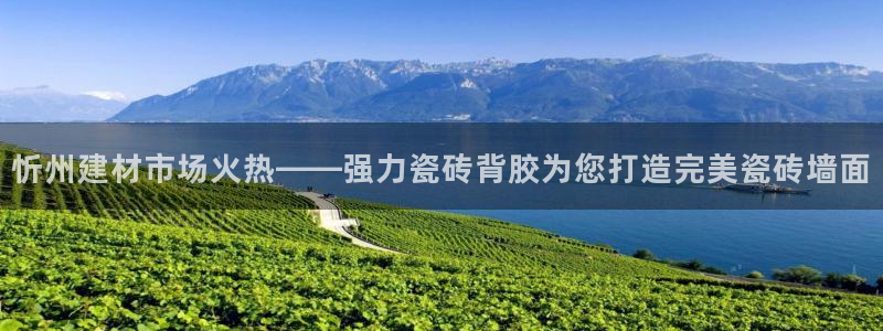 杏鑫平台正规吗是真的吗