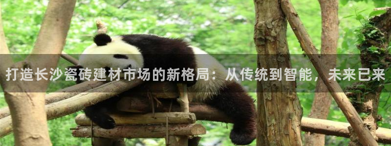 杏鑫平台注册地址